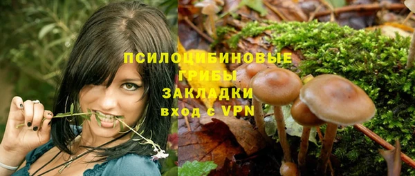 амф Абаза
