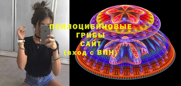 прущие грибы Абдулино