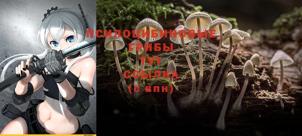 прущие грибы Абдулино