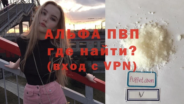 прущие грибы Абдулино