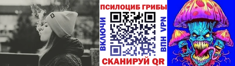 Галлюциногенные грибы прущие грибы Рязань